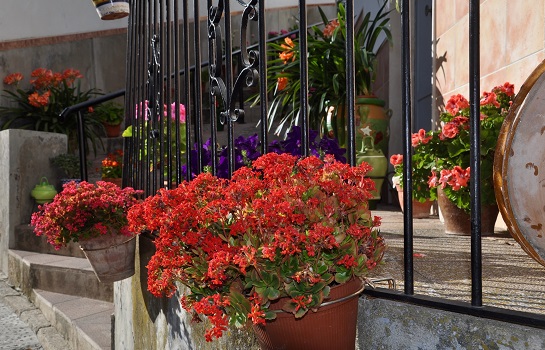 Córdoba 24 | Concurso de Fachadas, Patios y Rincones Típicos - Espejo