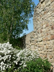 Stadtmauer