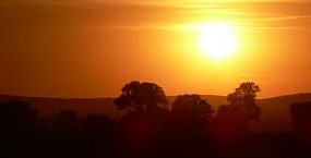 Goldene Aue