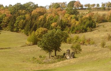 Ruine von St. Katharina