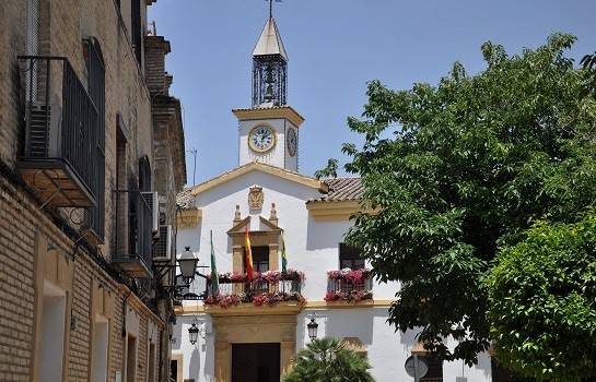 Coche carbohidrato barato Córdoba 24 | Cañete de las Torres