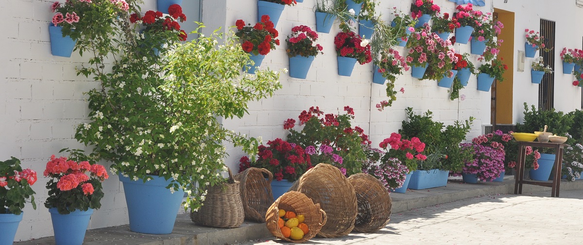 Córdoba 24 | Patios | Ruta 4: Alto Guadalquivir y Guadajoz-Campiña Este