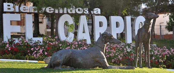 Córdoba 24 El Carpio