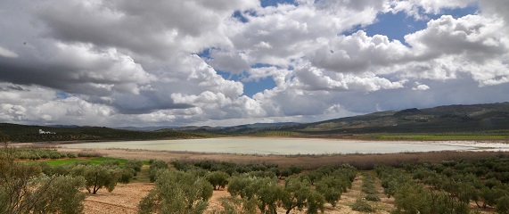 Córdoba 24 Laguna del Salobral