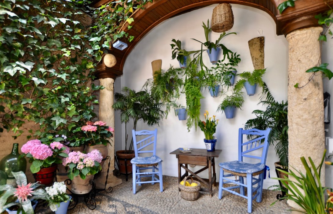 Córdoba 24 Patio calle Martín de Roa, 2