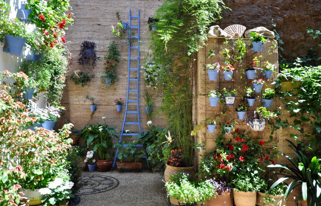 Córdoba 24 Patio calle Martín de Roa, 2